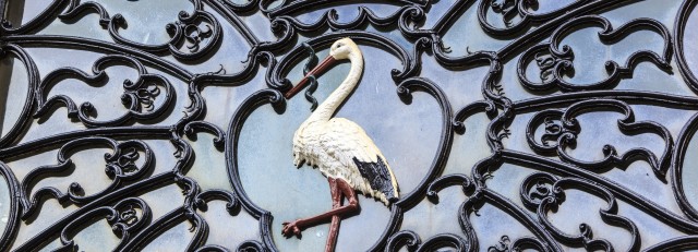 Ooievaar oude stadhuis.jpg