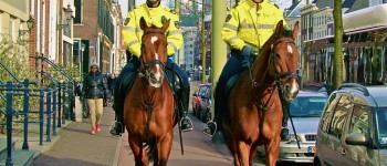 politie te paard