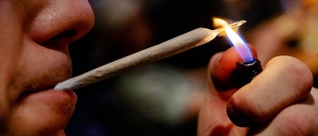 Softdrugs wiet coffeeshop.jpg