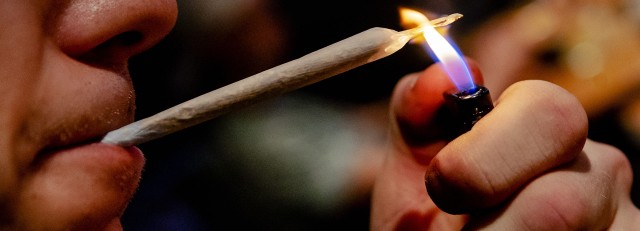 Softdrugs wiet coffeeshop.jpg